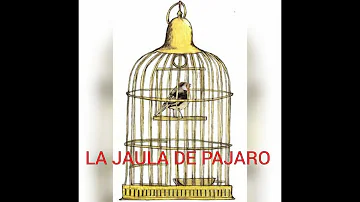 ¿Por qué el pájaro no puede permanecer feliz en una jaula?