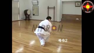 Garyu | By | World President Hanshi Daigo Oishi | So-Kyokushin Karate | Nippon Martial Arts