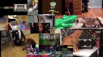 Up To Faster 104 Parison To Cat Scaredy and Crossover