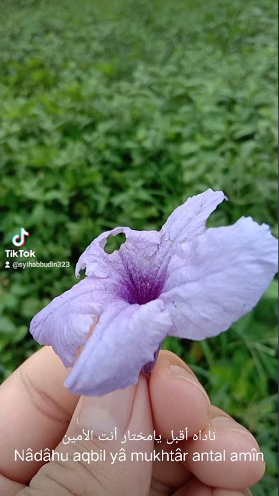 Robbi Kholaq#syihabaldiversi#solawatpendek#sejukdihati