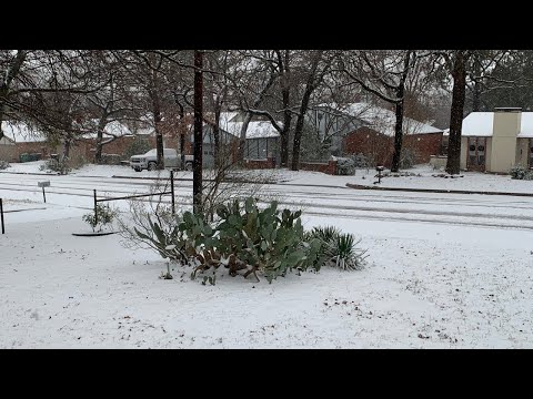 Snow falls across North Texas