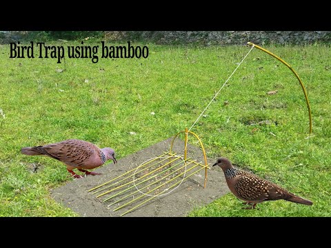 Video: Do-it-yourself Na Pabilog Na Kutsilyo Ng Talim: Kung Paano Gumawa Ng Isang Kutsilyo Sa Larawang Inukit Mula Sa Isang Bilog Na Bilog Na Lagay Ayon Sa Mga Guhit? Hakbang-hakbang Na P