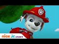 دوريات المخلاب مارشال جرو محظوظ Nick Jr Arabia