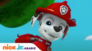 دوريات المخلاب | مارشال جرو محظوظ | Nick Jr. Arabia