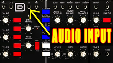 Behringer Model-D  external audio into Filter