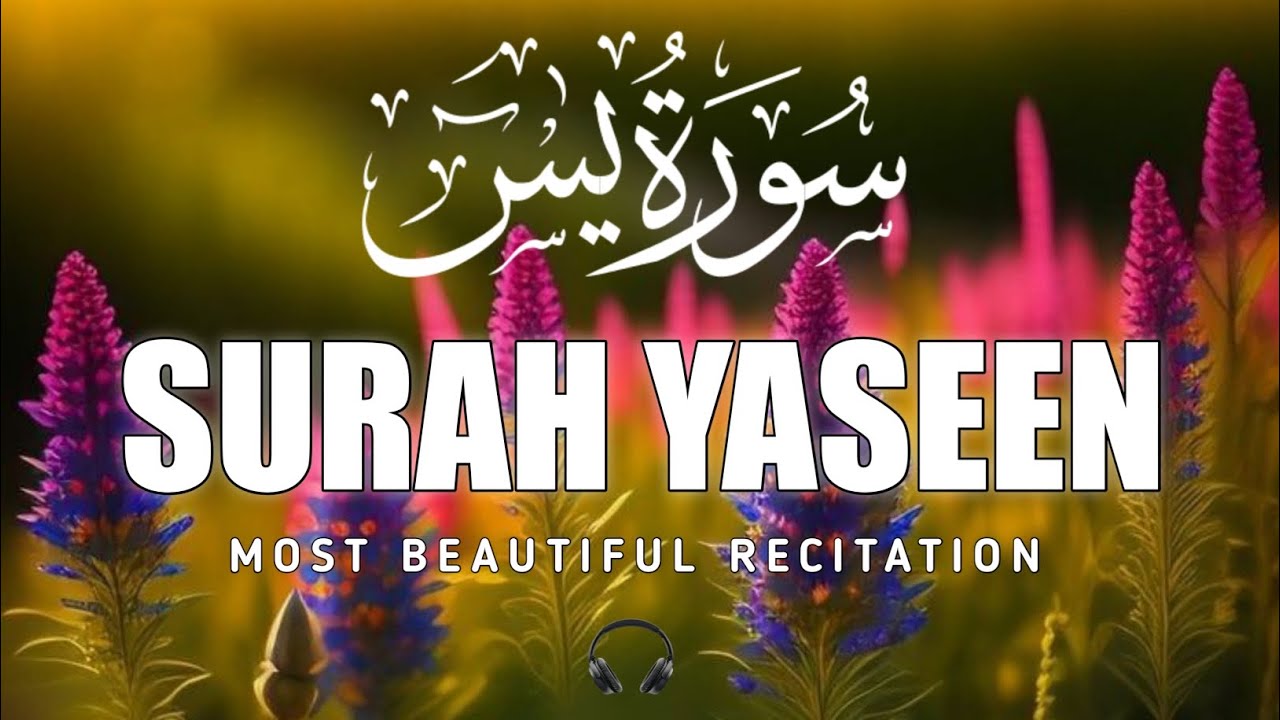 Surah Yaseen سورة يس | Soothing & BeautifulRecitation for Inner Peace by Alaa Aqel Yaseen for Sleep