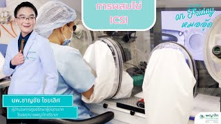 IVF on Friday : การผสมไข่ ICSI โรงพยาบาลพญาไทศรีราชา