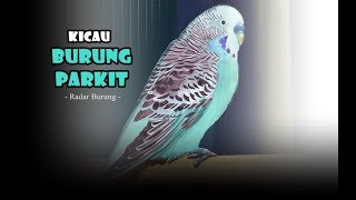 Suara Burung Parkit Gacor Durasi Panjang Terbaru screenshot 2