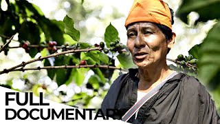 Humanitarian Profit: How UN Workers Make Money From Former Coca Farmers | ENDEVR Documentary