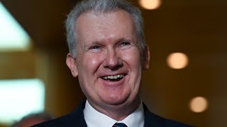 Tony Burke ‘absolutely welcomes’ the FWC’s minimum wage decision