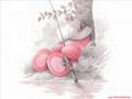 What about me - Shayne Ward