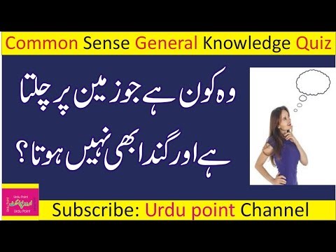 common-sense-iq-test-|-general-knowledge-quiz-|-funny-questions-to-ask-people-|-paheli-in-hindi