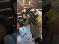 Sparring Magomed Vs Sinan G Komplette Video Kommt Am Mittwoch Um 17 00