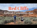 Red Cliffs Recreation Area | HIKING in Utah