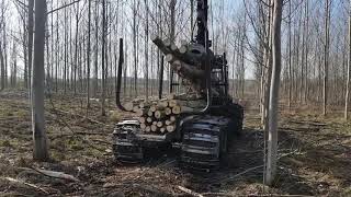 Pētījumā par alternatīviem mežizstrādes risinājumiem veiktie mežizstrādes izmēģinājumi