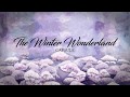 CINER - The Winter Wonderland Capsule (Promotional Capsule video by NANO)