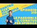 Le passioni e il conatus per Spinoza [Dentro alla filosofia, episodio 219]