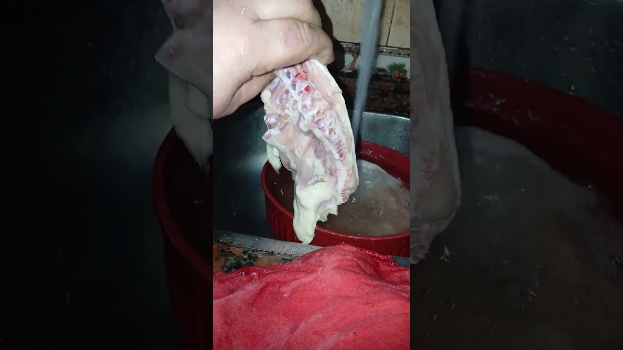 رمضان كريم عليكم يارب الفيدوهات بتعتي تعجبكم 