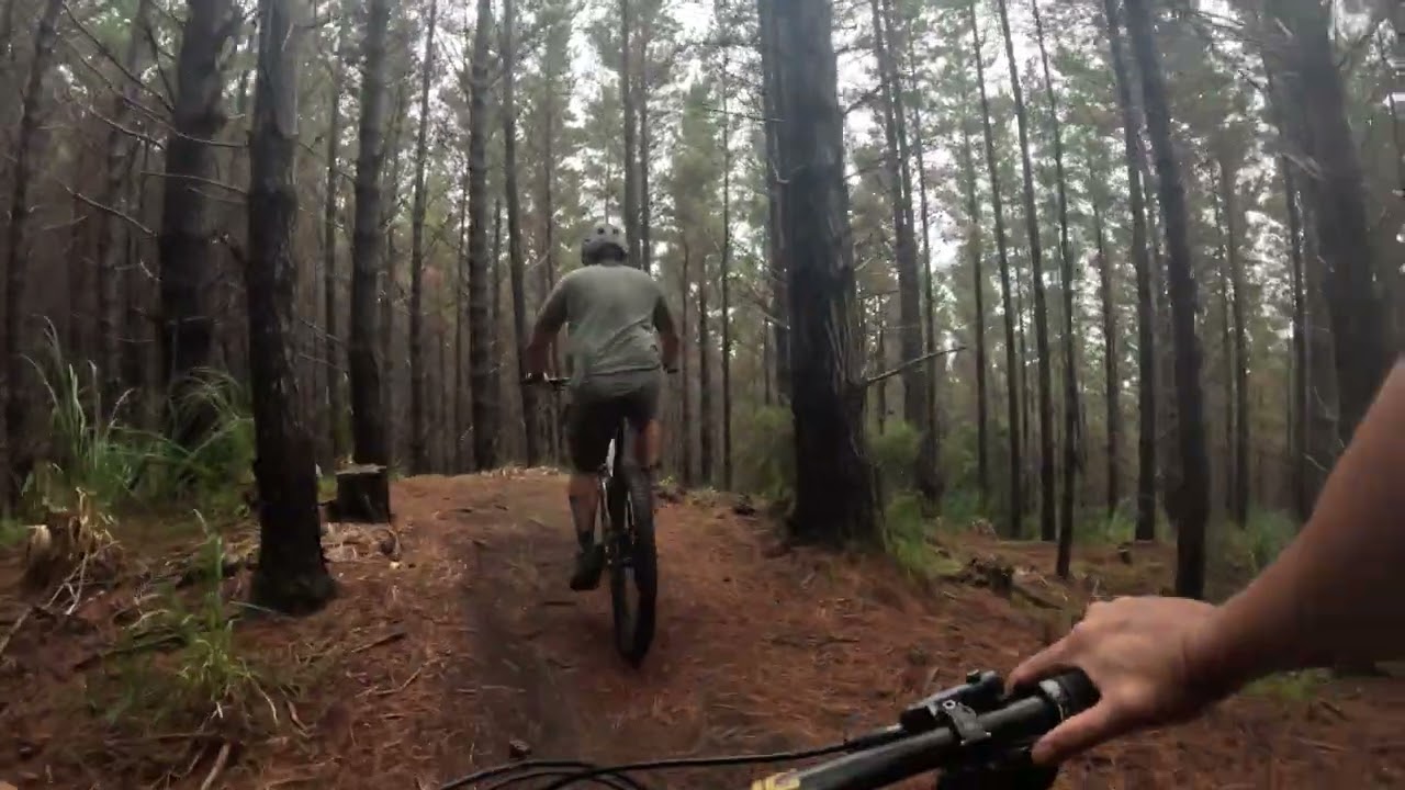 Shred the Needle | Woodhill Forest