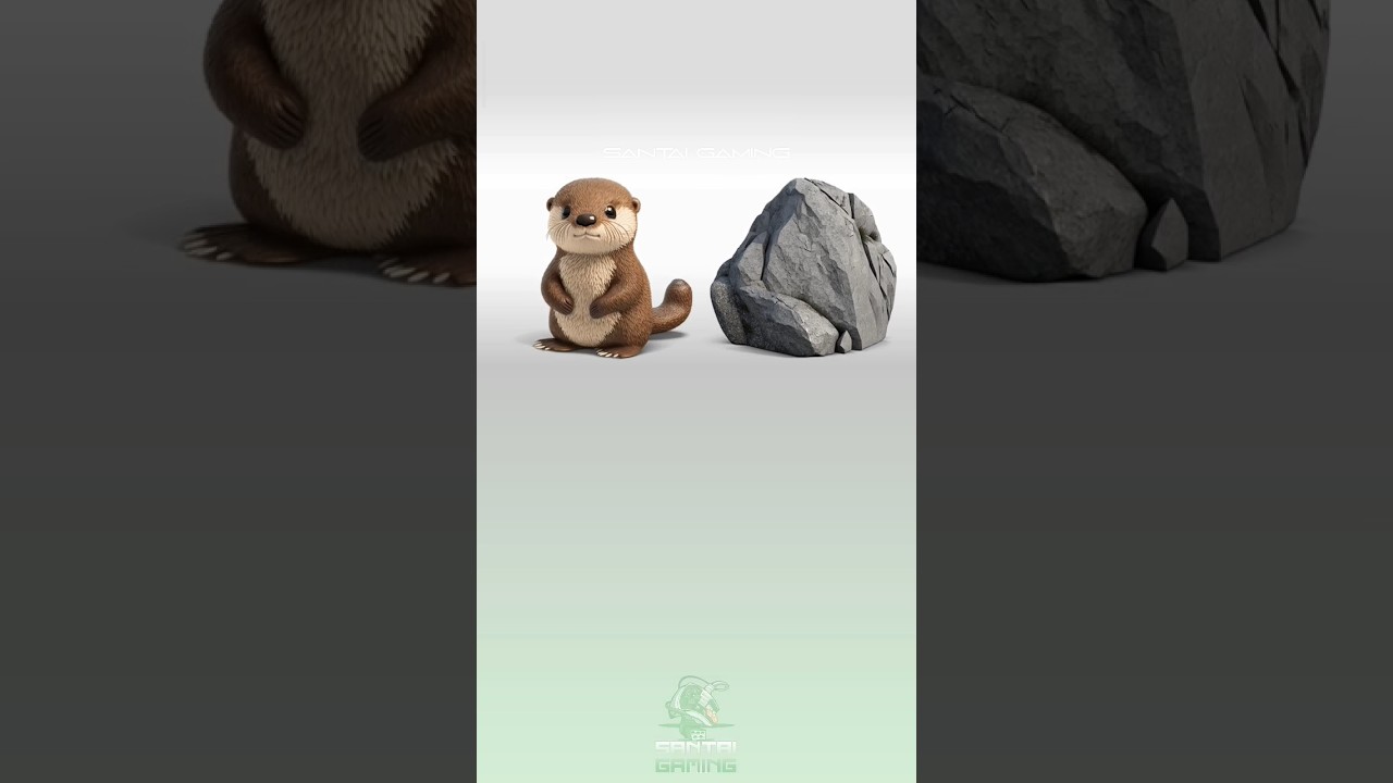 otter + rock 