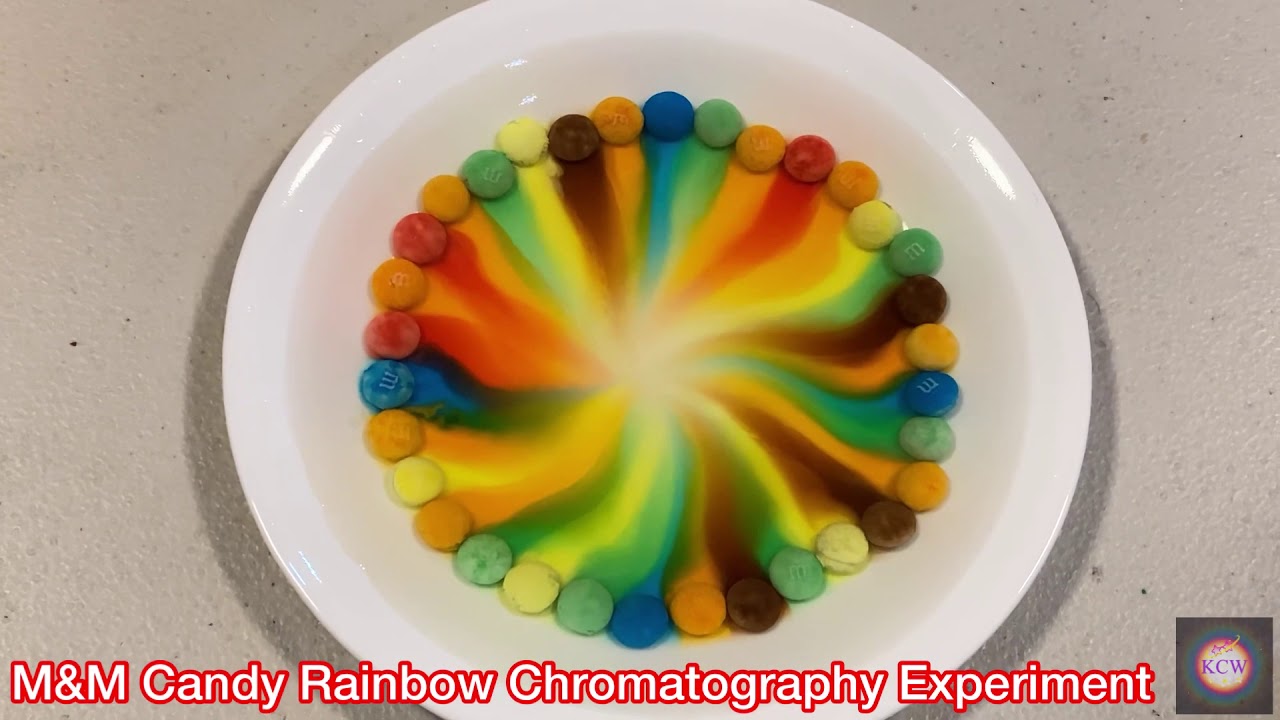 M&M Candy Rainbow Chromatography Experiment (Easy DIY Candy Science For