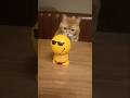 動く人形が気に入らない猫
