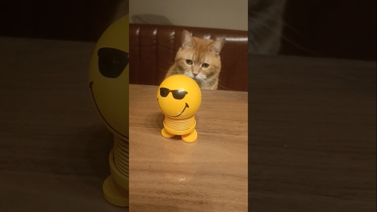 動く人形が気に入らない猫