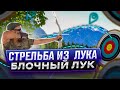 Блочный лук. Классический лук. Стрельба из лука. Обзор лука.