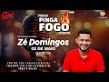 Professor z domingos  pinga fogo 05