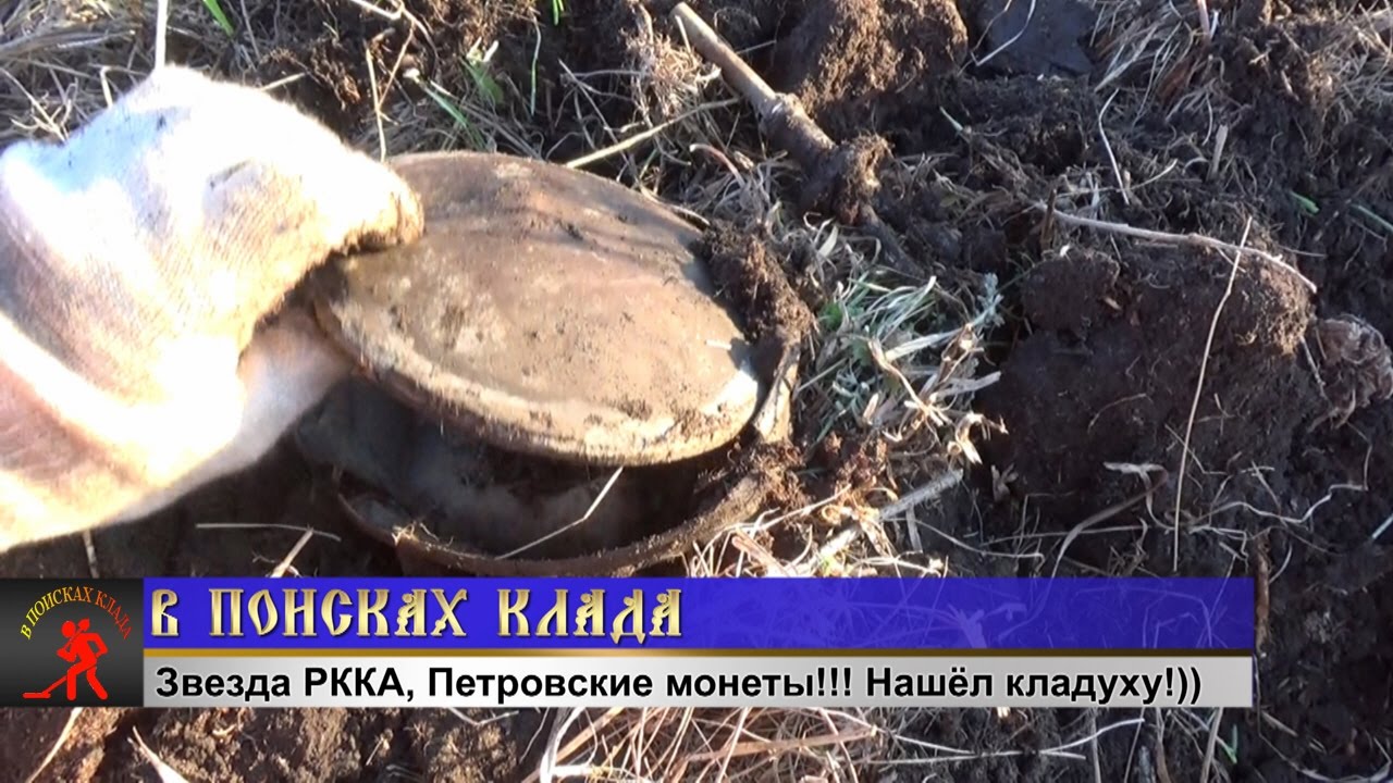 Накопали петровских монет!.