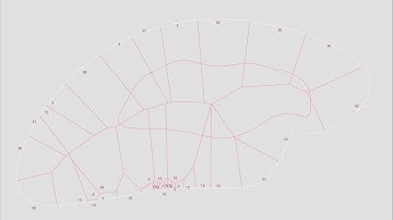 Voronoi Program Optimisation