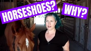 Why Do Horses Need Shoes?