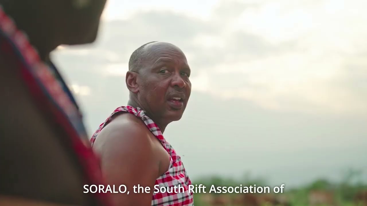 The South Rift: A Living Landscape