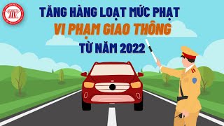 Traffic Violation Fines Will Increase Massively From 2022 | TVPL