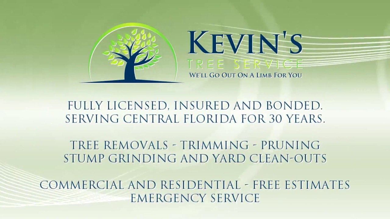 kevin s tree service building kevins tree service crane removal youtube kevin s tree service building kevins tree service crane removal youtube