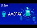 AMEPAY быстрая, удобная и безопасная альтернатива платежам