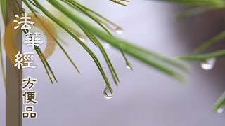 【靜思妙蓮華】法華經方便品 - 聲聞依教奉行 - 20200401 第227集