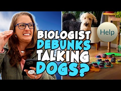 Video: Vedci dokázali, že váš pes lepšie počúva, keď používate „Dog-Speak“