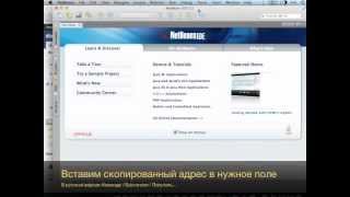 Работа с SVN в NetBeans. Введение