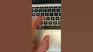 Coding Expectations vs Reality #shorts