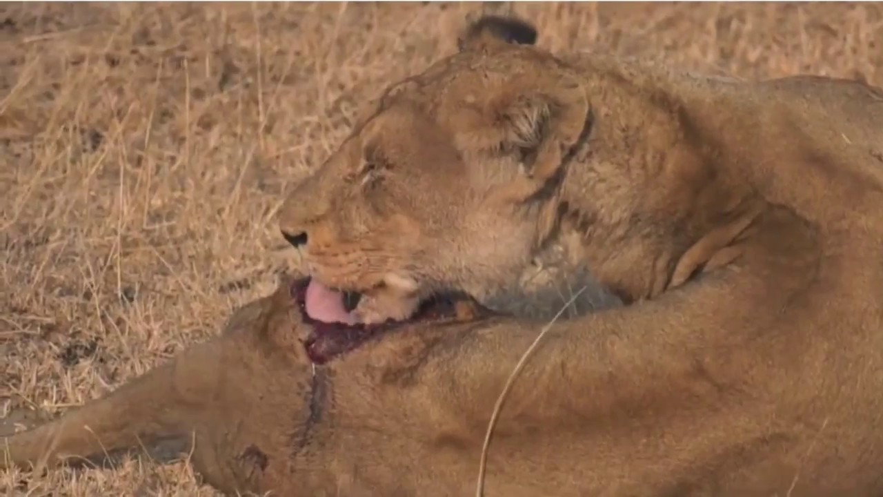 camera iphone 8 plus apk Sept 17, 2017 - Sunrise - Female Nkuhuma cleaning her wound