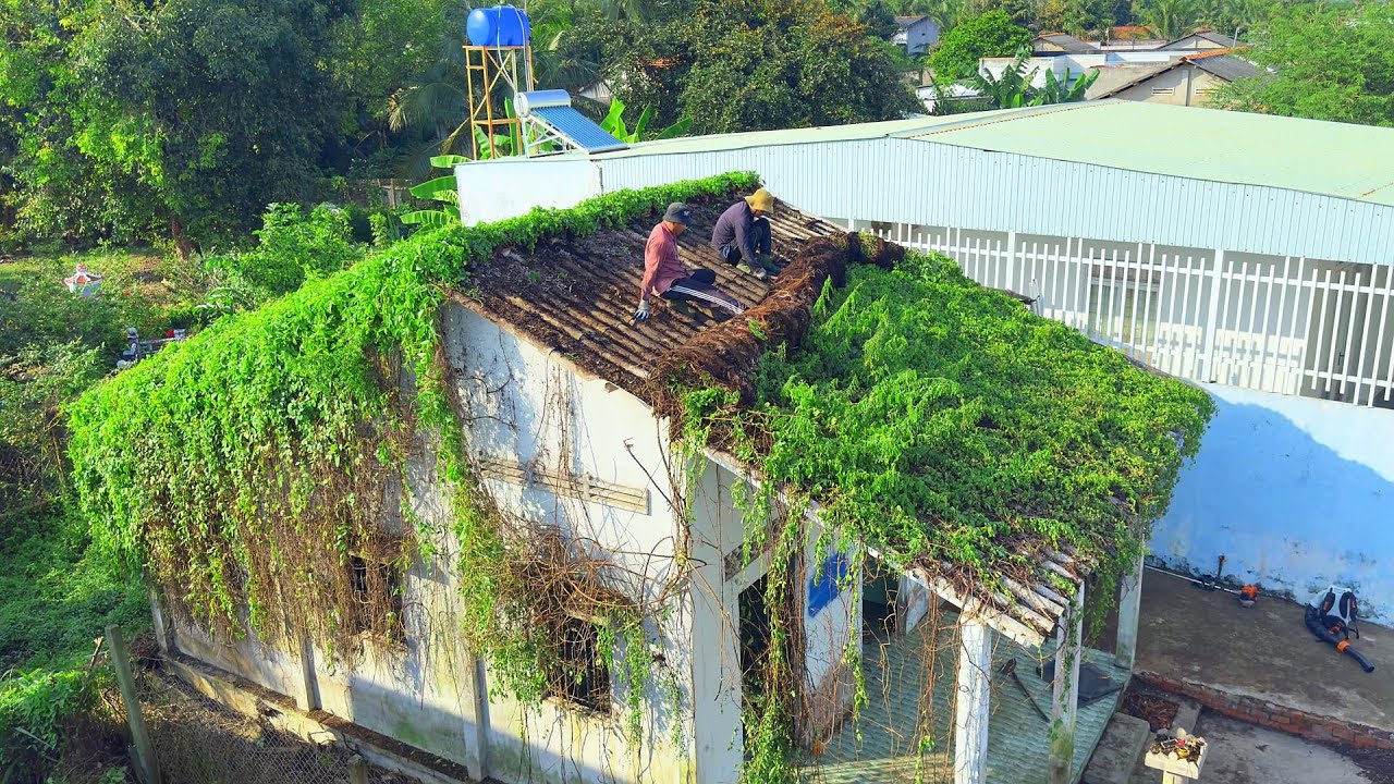 Восстановление заброшенного дома, который зарос сорняками более 20 лет