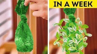 🧑‍🌾🌱 Garden Hacks 101! Effective Tips and Tricks to Unlock your Inner Gardener by 5-Minute Crafts FAMILY 138,517 views 9 days ago 1 hour, 40 minutes