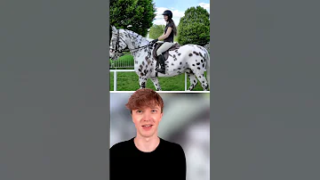Rarest Horses In The World 