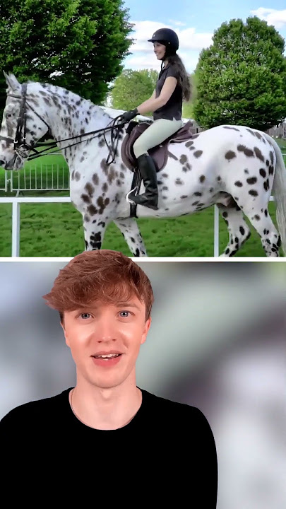 Rarest Horses In The World