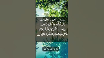 وَسِيقَ الَّذِينَ اتَّقَوْا رَبَّهُمْ إِلَى الْجَنَّةِ زُمَرًا ۖ #explore #قرآن #حالاتواتس #تلاوات