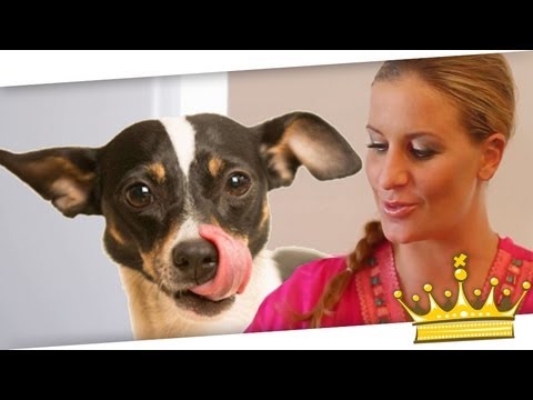 Video: Die Mythen Und Wahrheiten über Nahrungsmittelallergien Bei Hunden