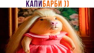 КАПИБАРБИ ))) | Приколы | Мемозг 1291