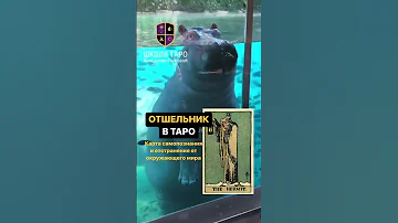 Аркан Отшельник в Таро