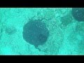Freediving to marine sponges at volcano kalymnos greece